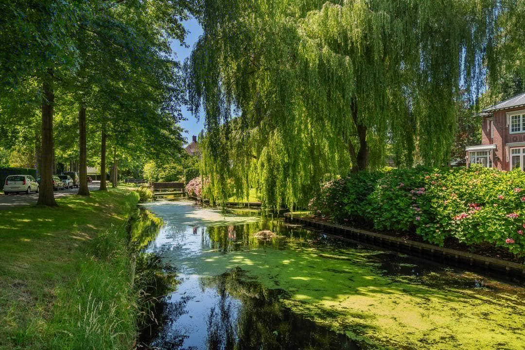 Foto 82 van Prins Hendriklaan 3