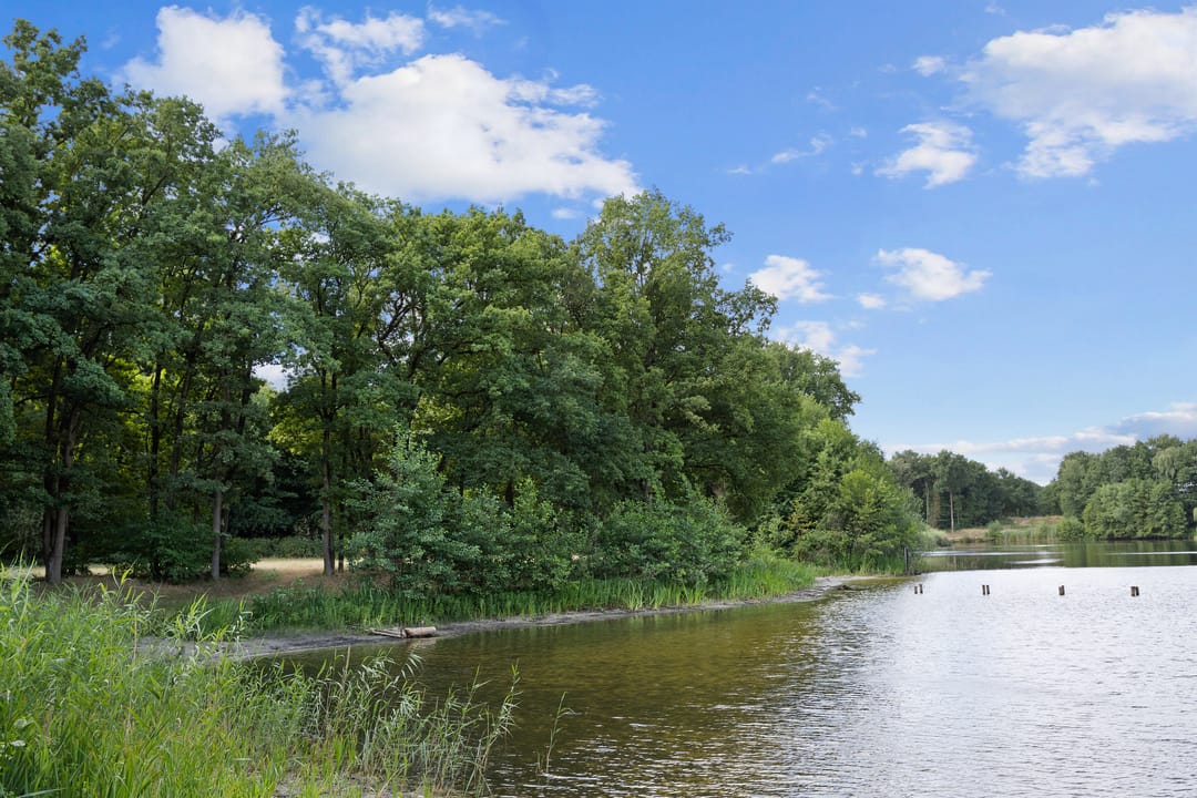 Foto 38 van Deken van Baarstraat 51