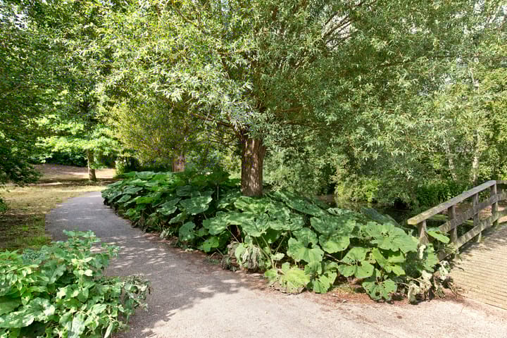 Foto 25 van Waddenstraat 751