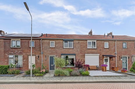 undefined main image