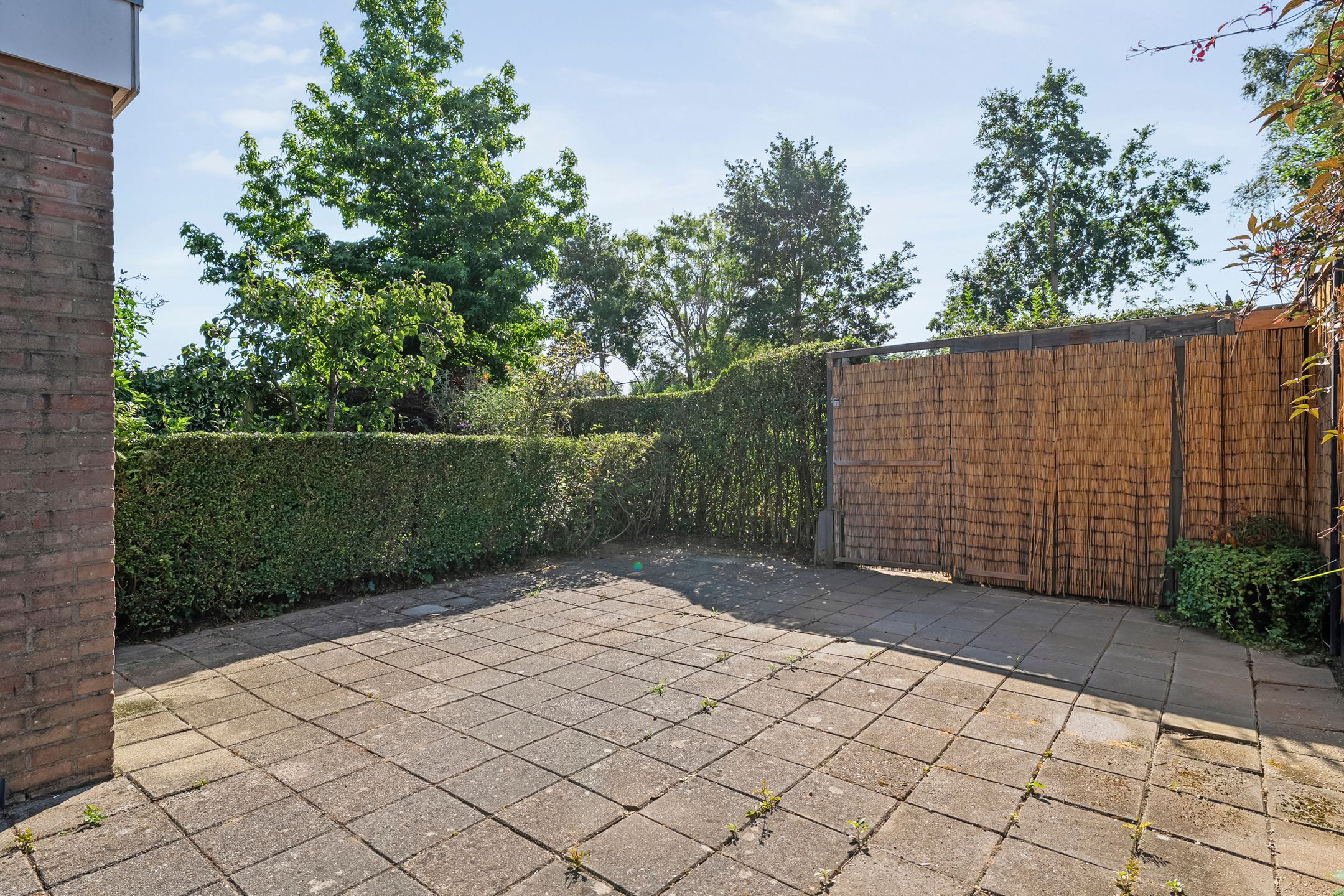 Foto 24 van Van Maanenware 3