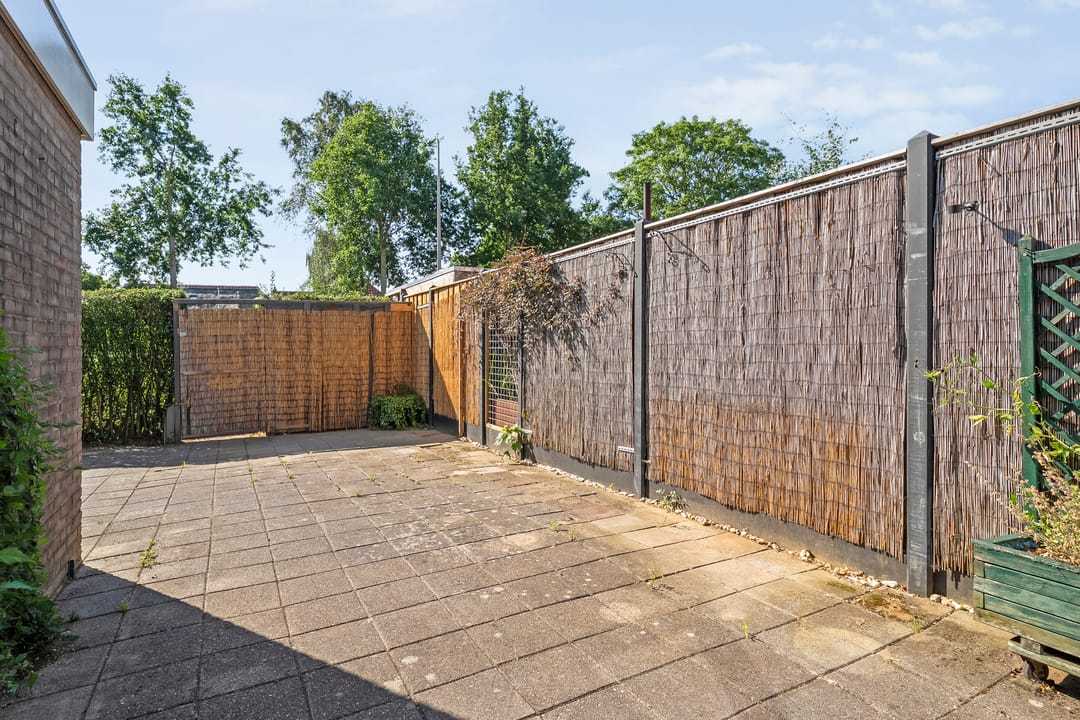 Foto 23 van Van Maanenware 3