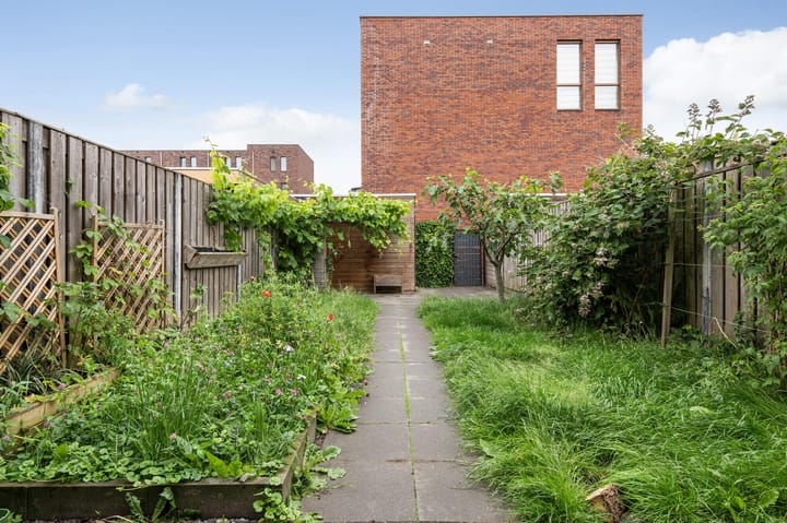 Foto 4 van Haringvliet 59