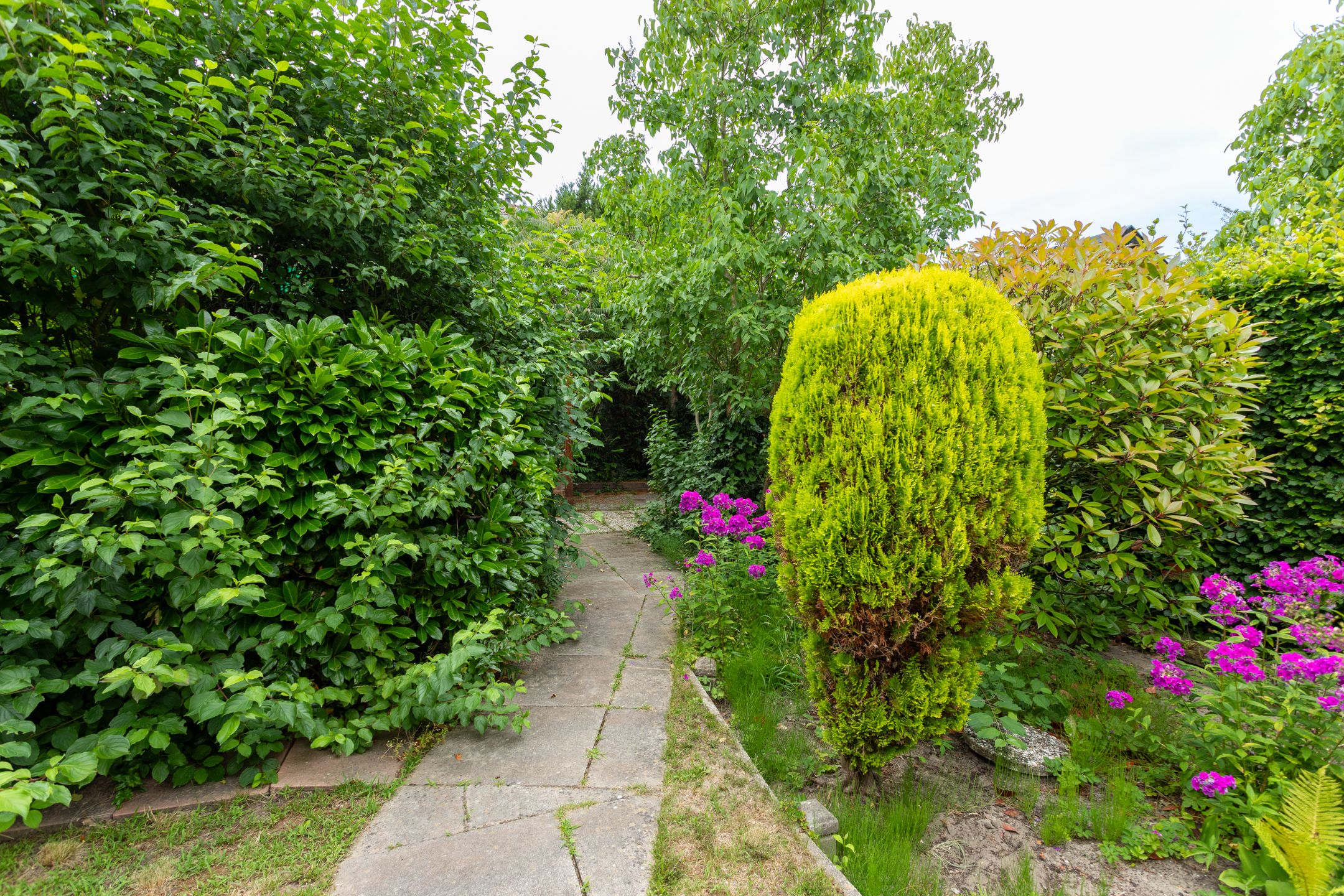 Foto 33 van Tetburgstraat 7