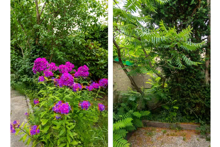 Foto 40 van Tetburgstraat 7