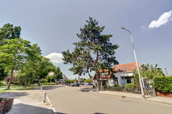 Foto 25 van Oostsingel 52