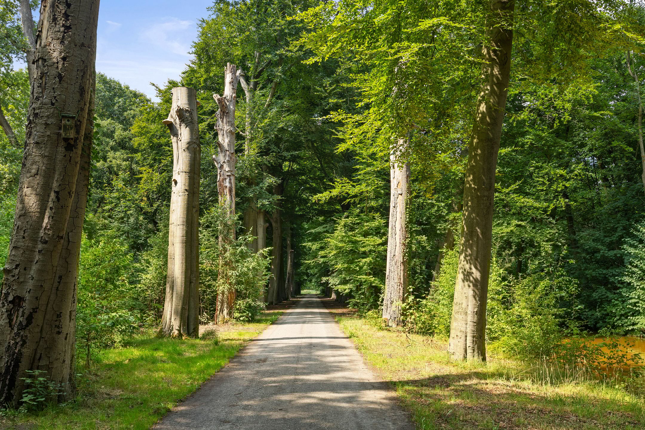 Foto 6 van Het Hof 16