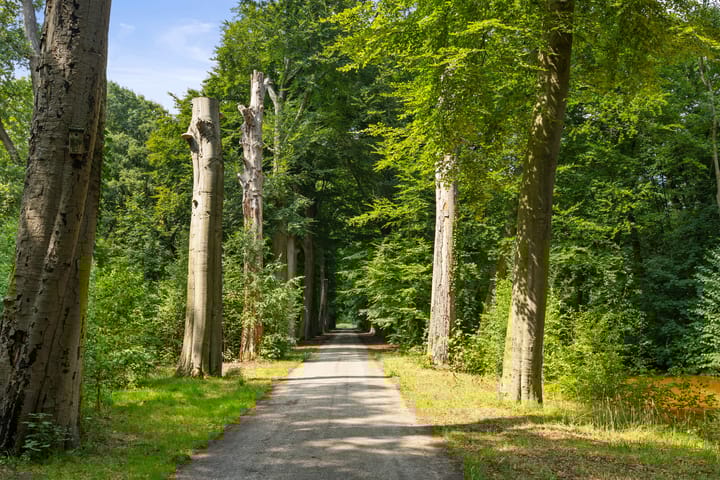 Foto 6 van Het Hof 16