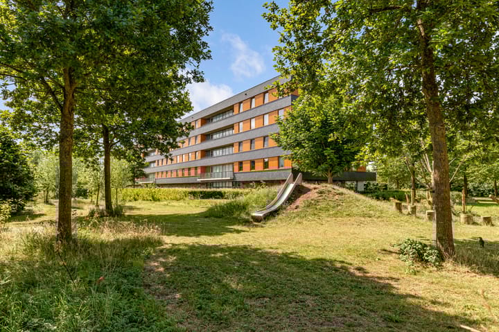 Foto 62 van Boelijn 156