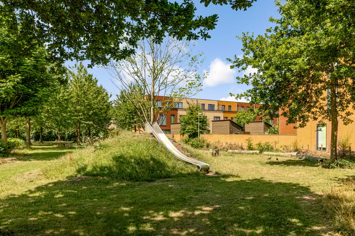 Foto 65 van Boelijn 156