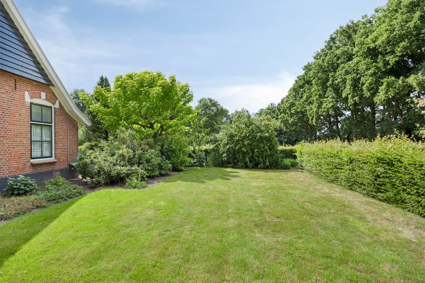 Foto 5 van Sonderenstraat 67