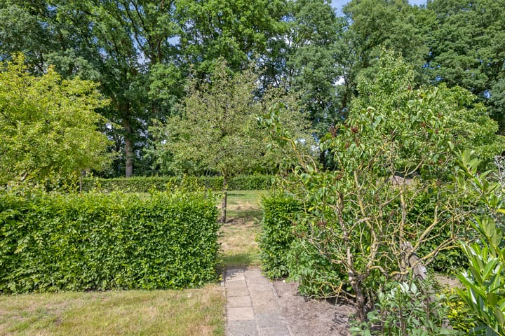 Foto 9 van Sonderenstraat 67