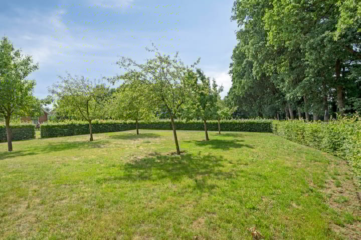 Foto 19 van Sonderenstraat 67