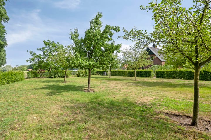 Foto 21 van Sonderenstraat 67