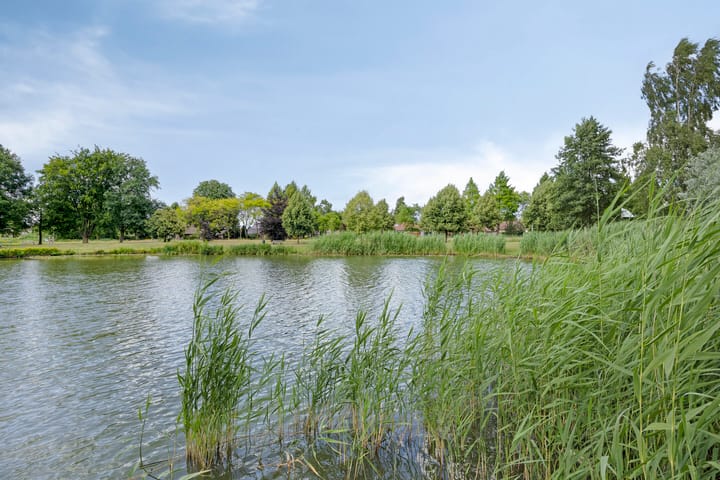 Foto 28 van Sonderenstraat 67