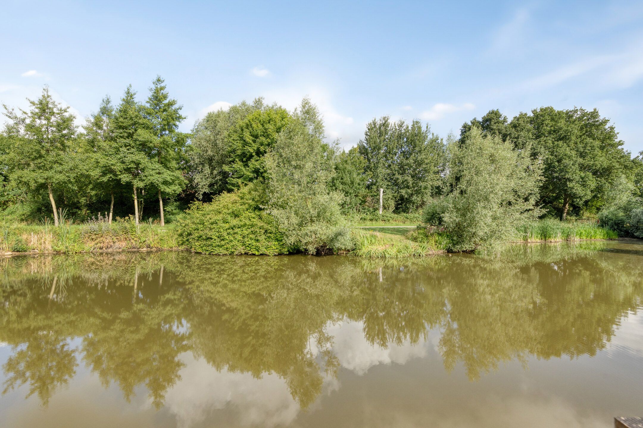 Foto 27 van Gerard ter Borchstraat 31