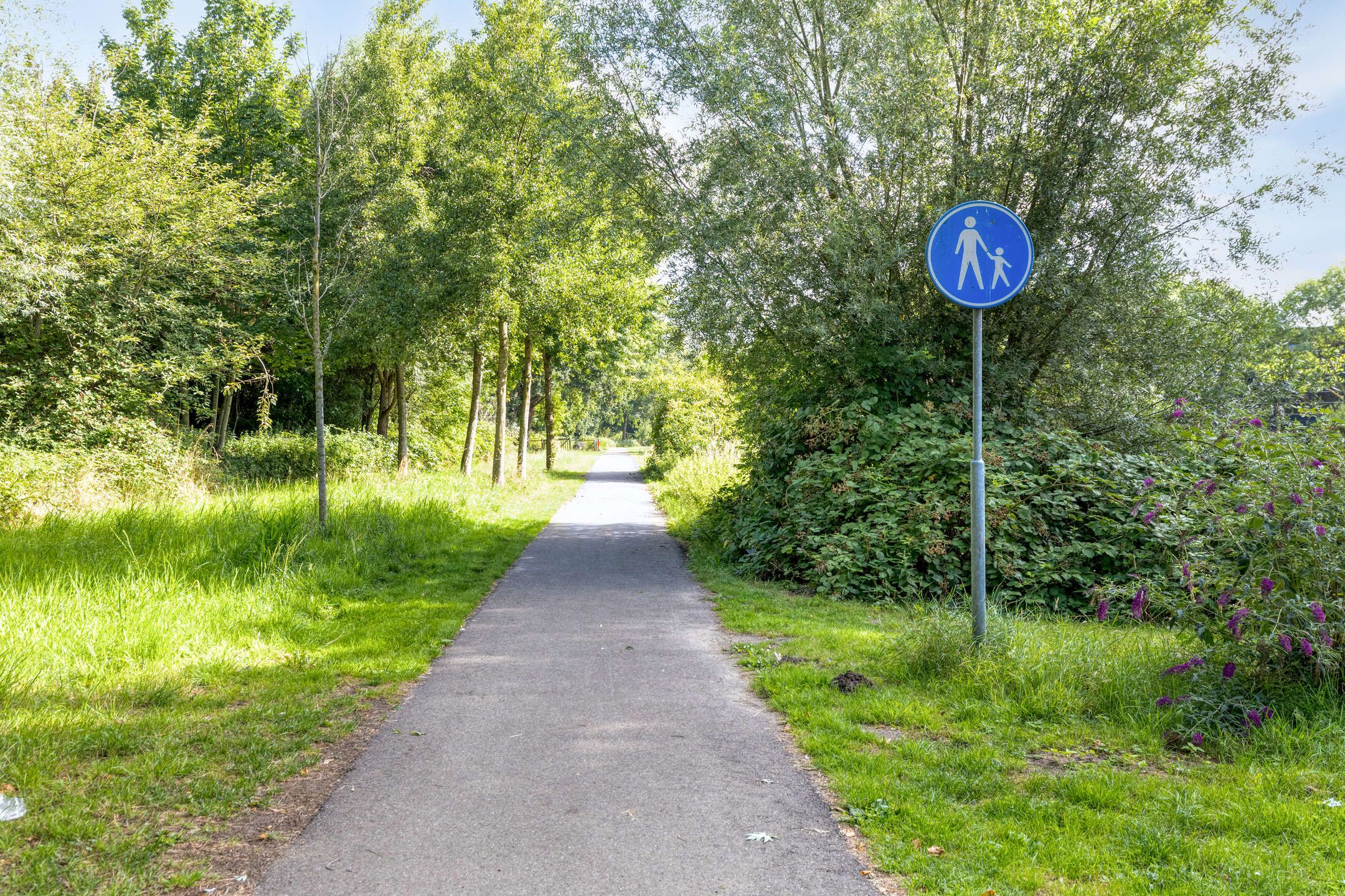 Foto 36 van Gerard ter Borchstraat 31