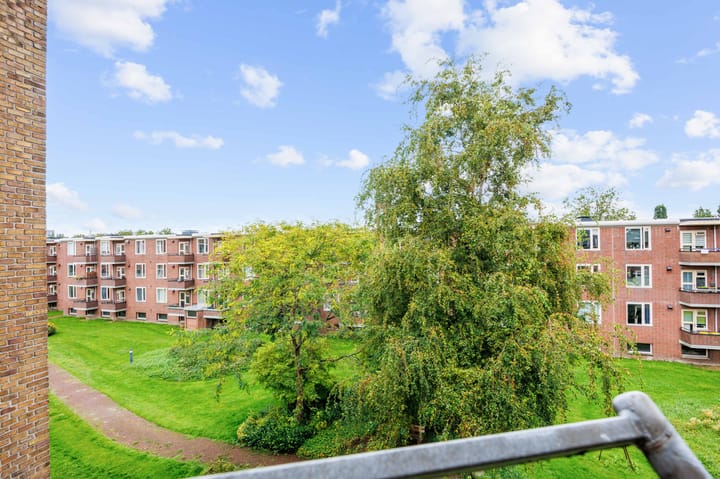 Foto 39 van Adriaan van Ostadestraat 21