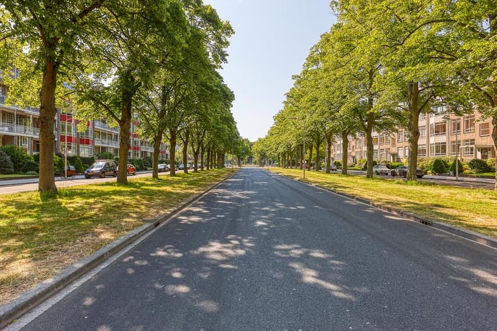 Photo 37 of Breitnerlaan 462