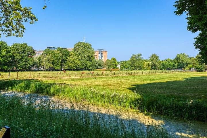 Photo 39 of Breitnerlaan 462