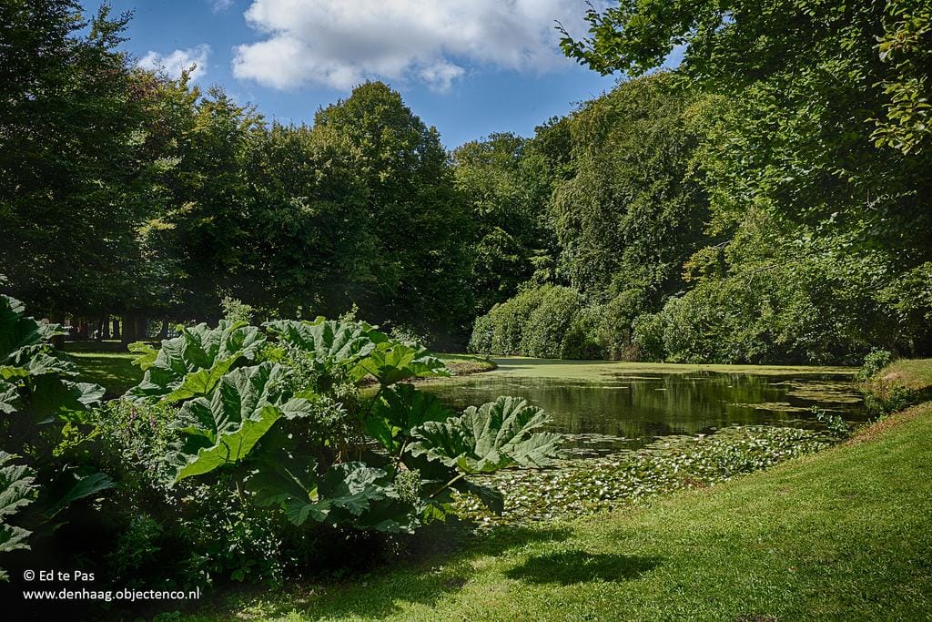 Photo 42 of Breitnerlaan 462