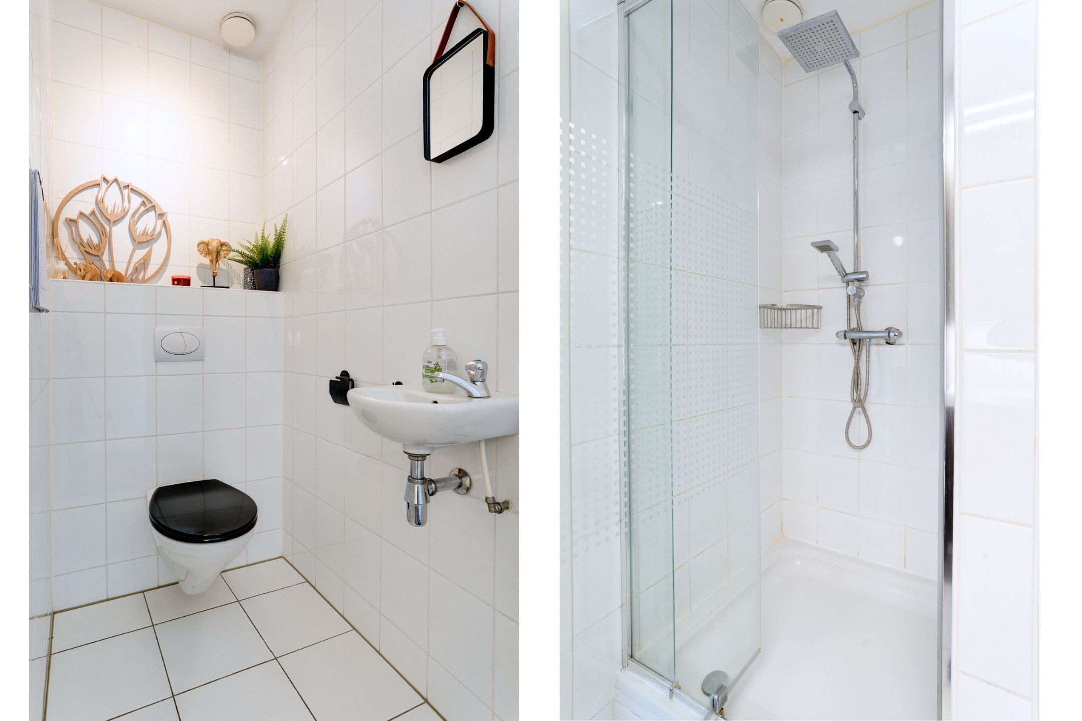 Foto 18 van Waterviolier 30