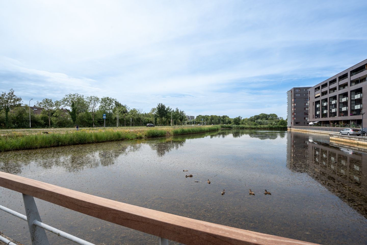 Foto 29 van Waterviolier 30