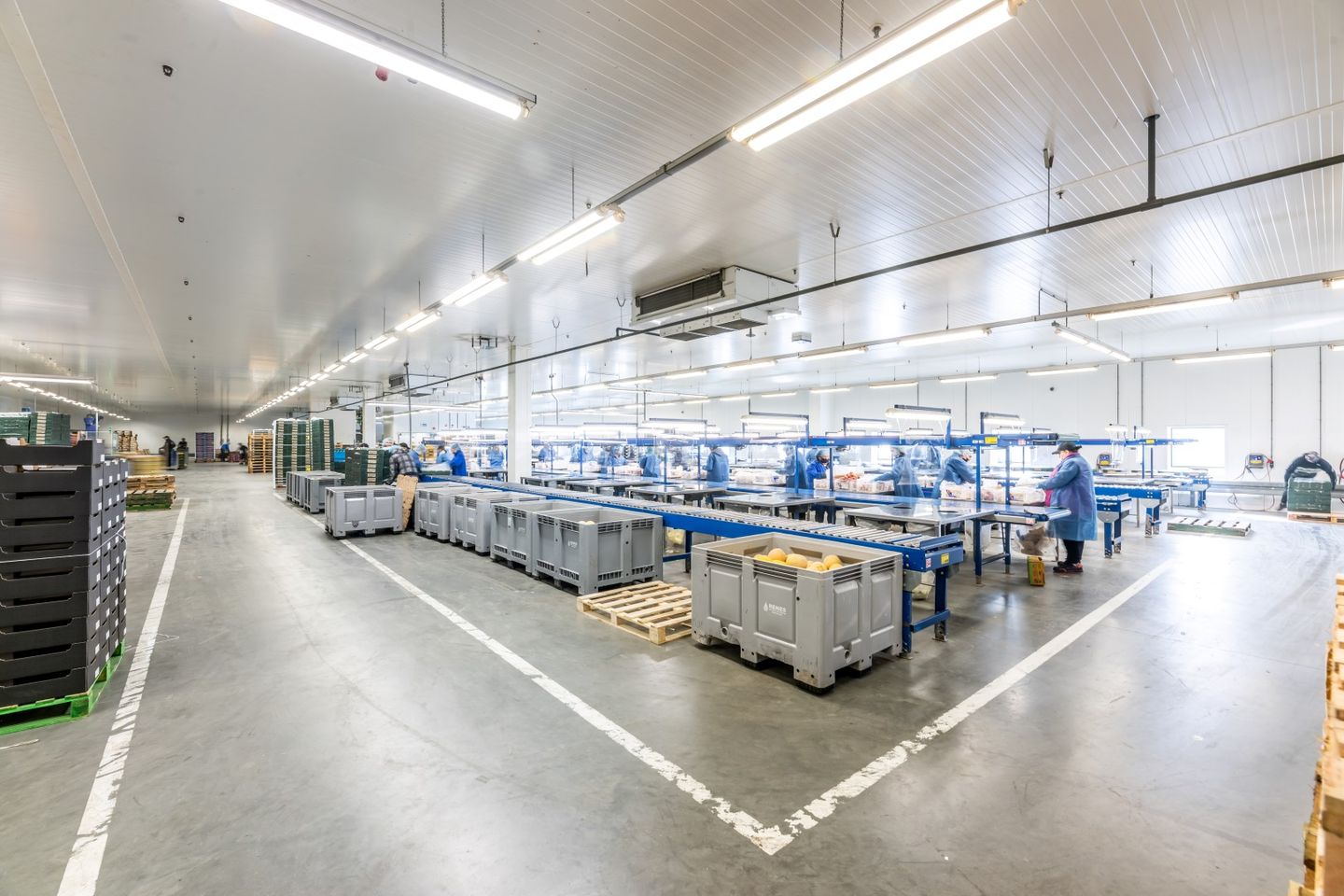 View photo 5 of Spoorlaan 12