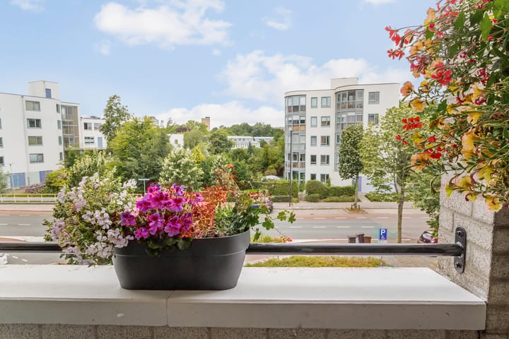 Photo 46 of Aartsbisschop Romerostraat 161