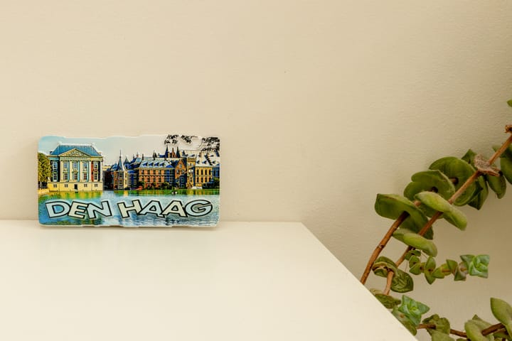 Foto 24 van Indigostraat 32