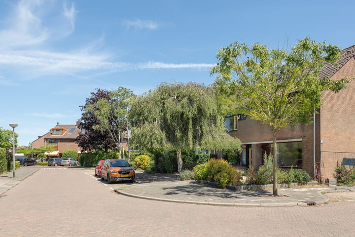 Foto 23 van Meerkoet 39