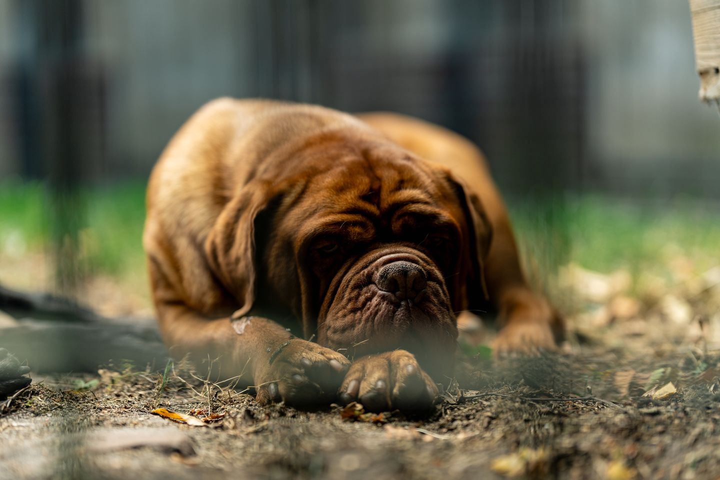 Foto 94 van Postbaan 25