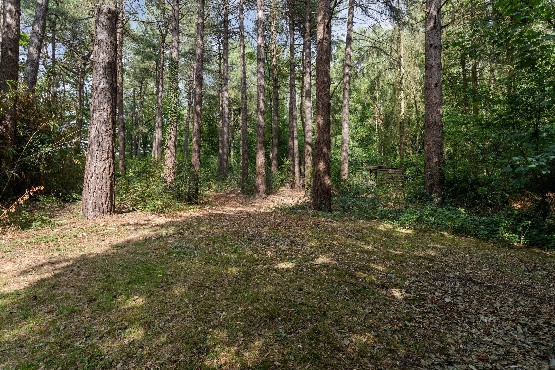 Foto 99 van Postbaan 25