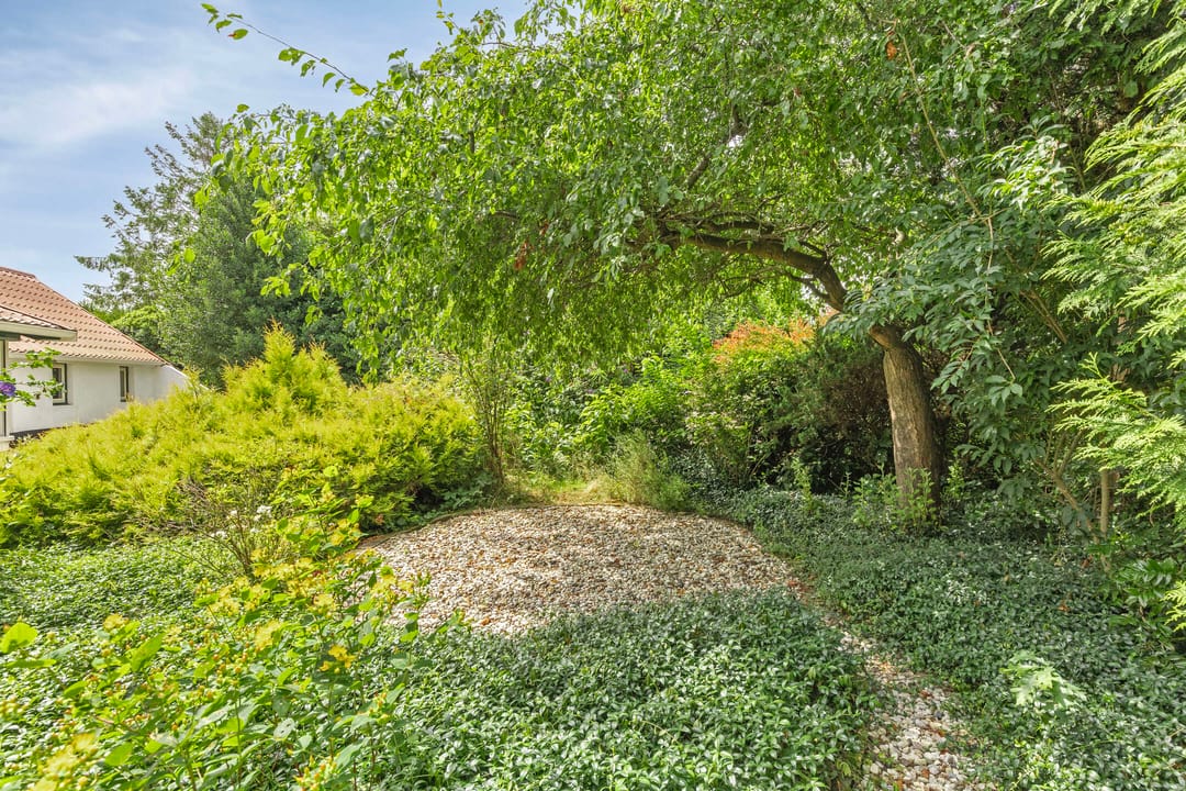 Foto 38 van Koppelwijk OZ 25