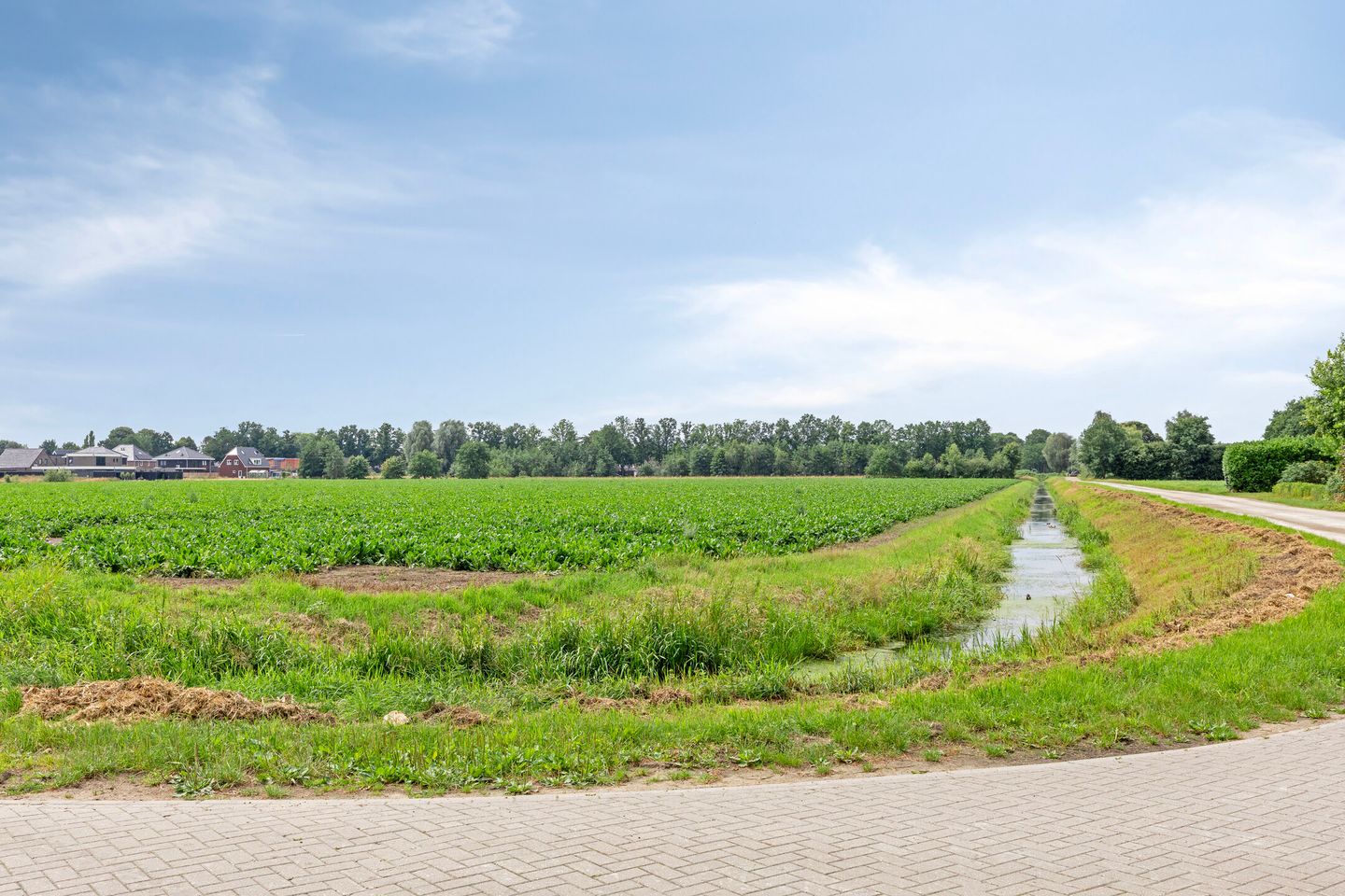 Foto 49 van Koppelwijk OZ 25