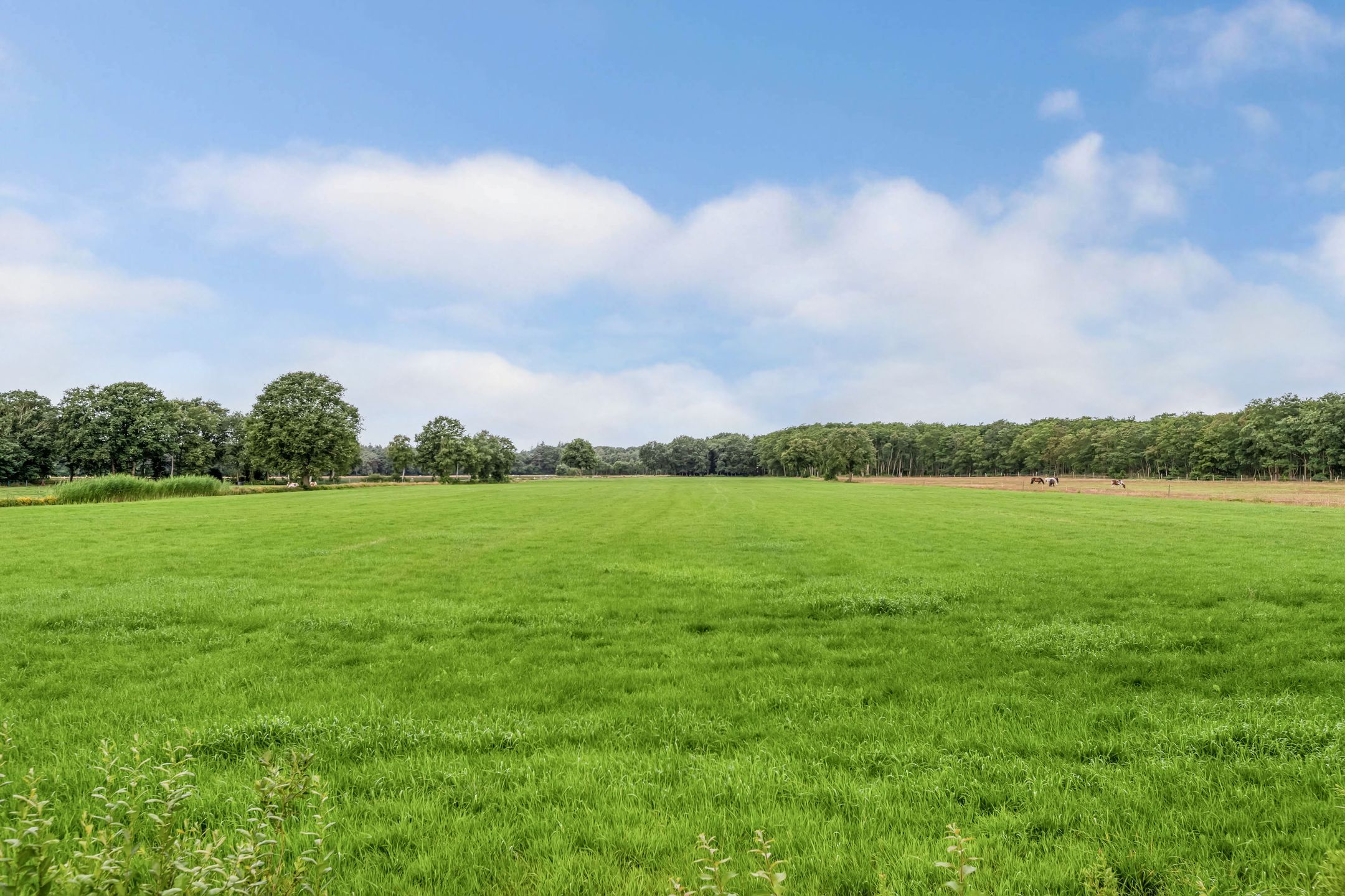 Foto 63 van Rijksweg 259