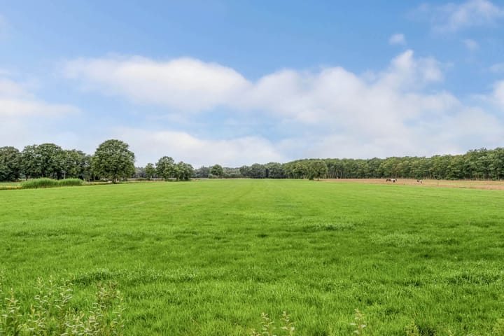 Photo 63 of Rijksweg 259