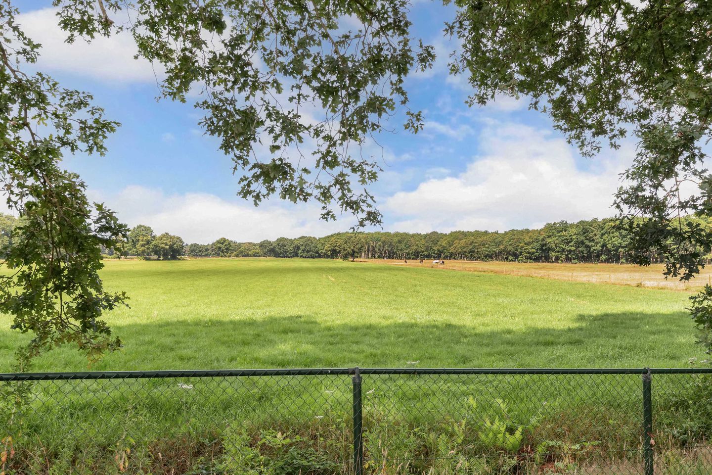 Foto 70 van Rijksweg 259