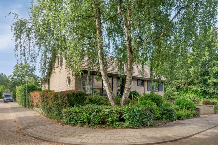 Foto 3 van Haydnstraat 3