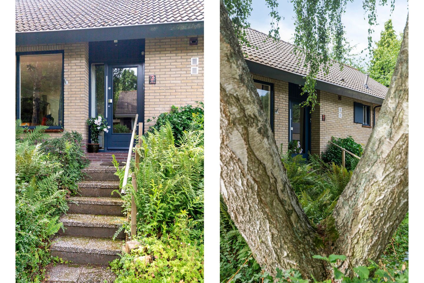 Foto 4 van Haydnstraat 3