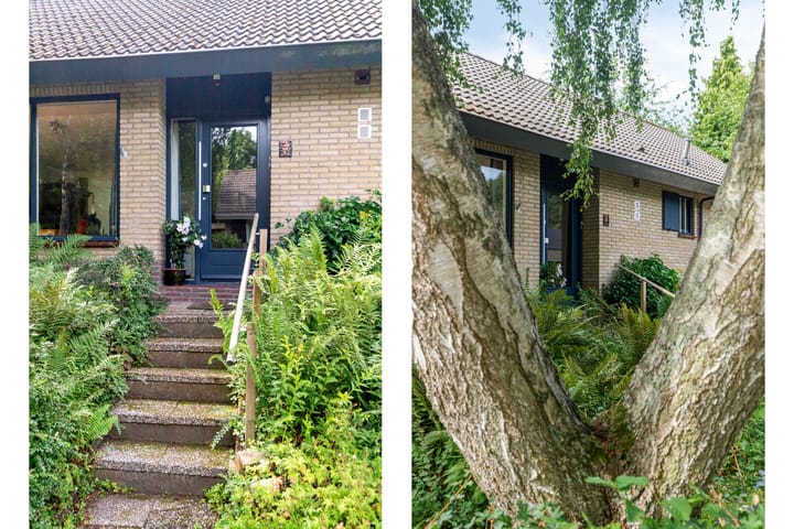 Foto 4 van Haydnstraat 3