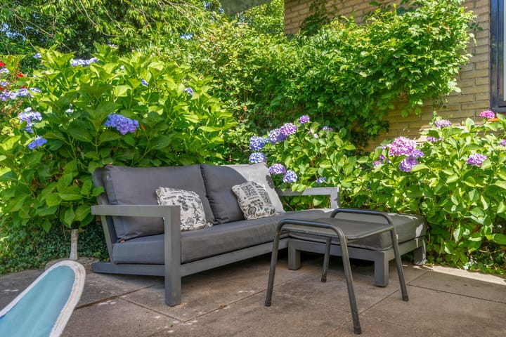 Foto 44 van Haydnstraat 3