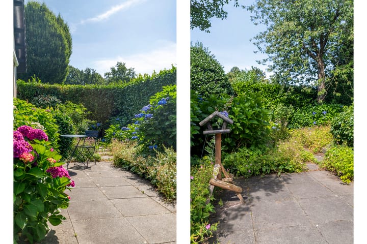 Foto 46 van Haydnstraat 3