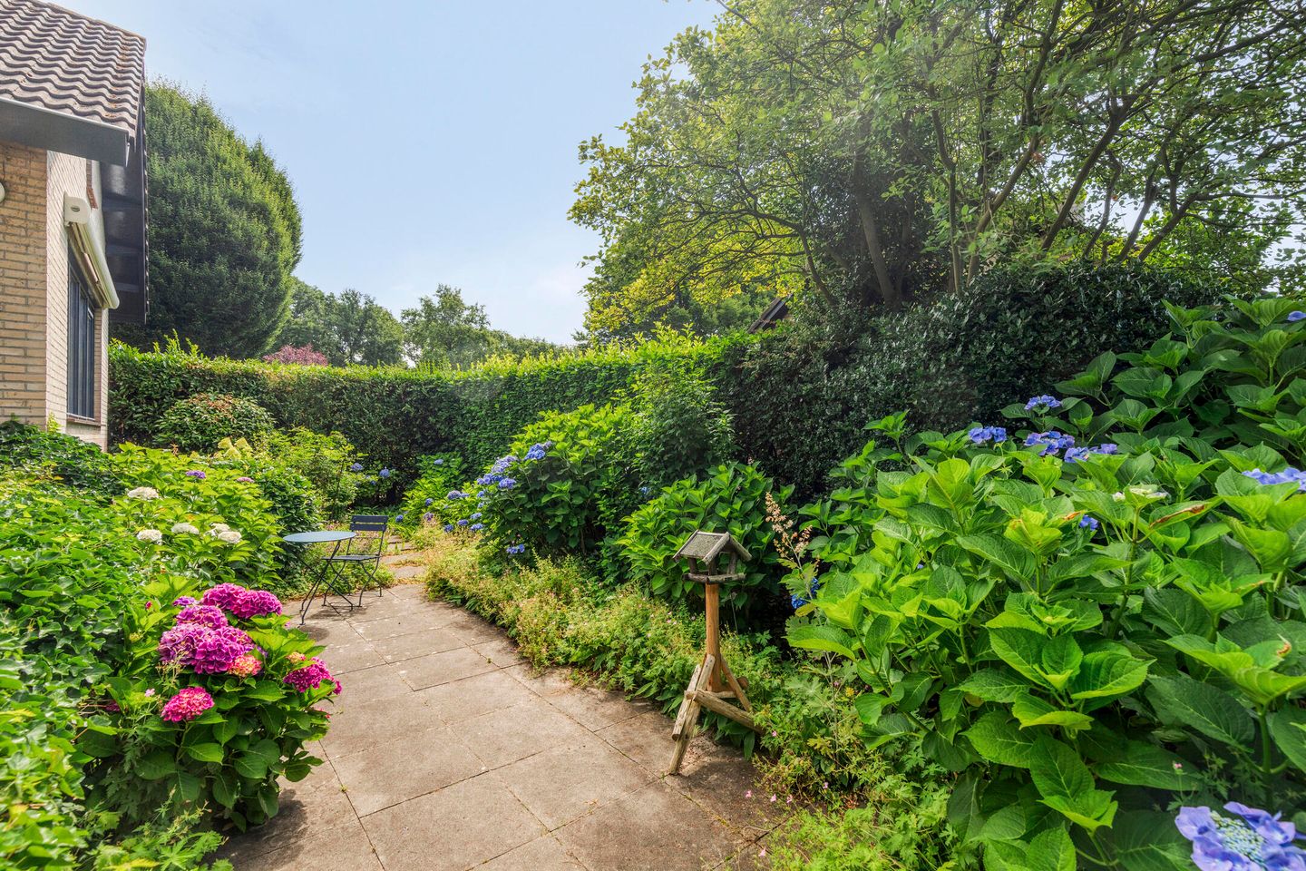 Foto 49 van Haydnstraat 3