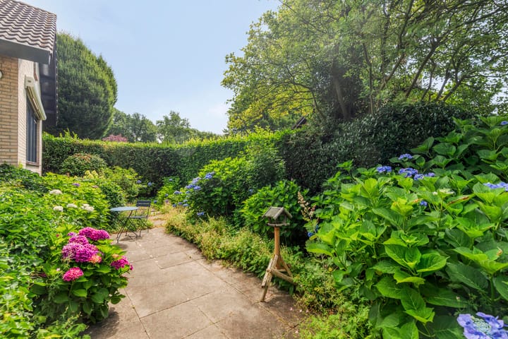 Foto 49 van Haydnstraat 3