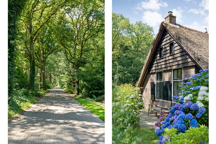 Foto 11 van Paasloregel 114