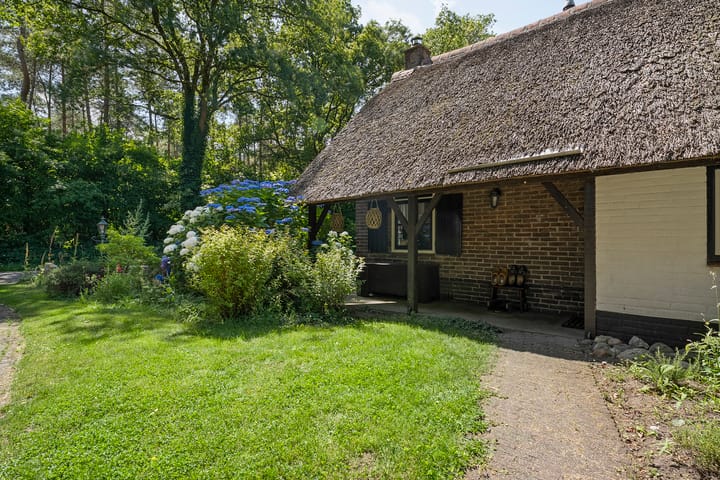 Foto 13 van Paasloregel 114