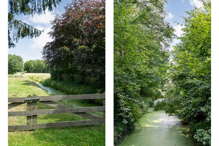 Foto 48 van Paasloregel 114