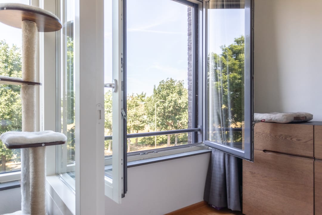 Foto 11 van De Klok 76