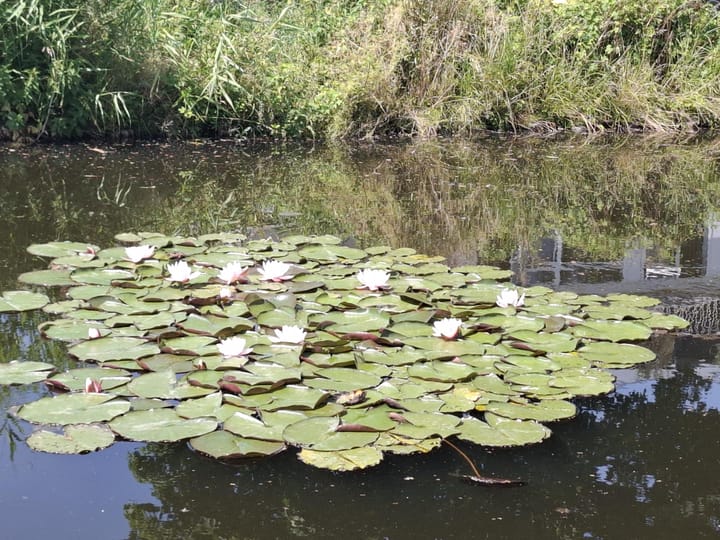 Foto 21 van Kleinpolderkade 45